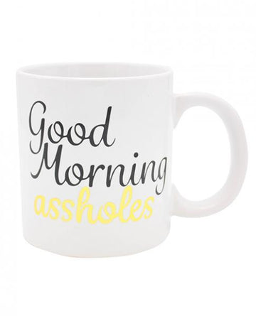 Attitude Mug Good Morning Asshole Holds  22oz