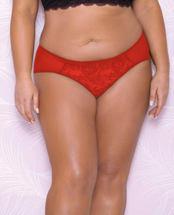 Scallop Lace, Mesh Hipster Panty Red 2X