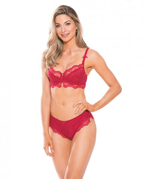 Sheer Mesh Bra & Panty Set Cranberry Red 2X