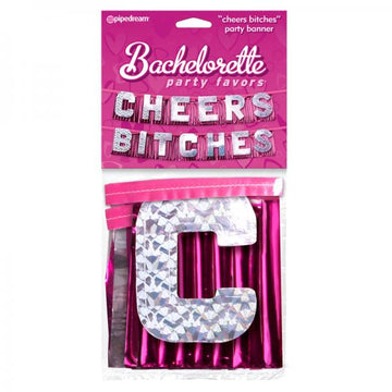 Bachelorette Party Favors "cheers Bitches" Party Banner