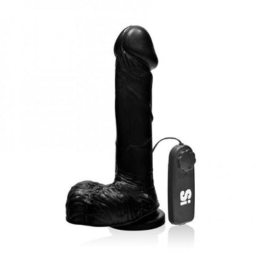 8 inches Cock Balls, Vibrating Egg &amp; Suction Cup Black