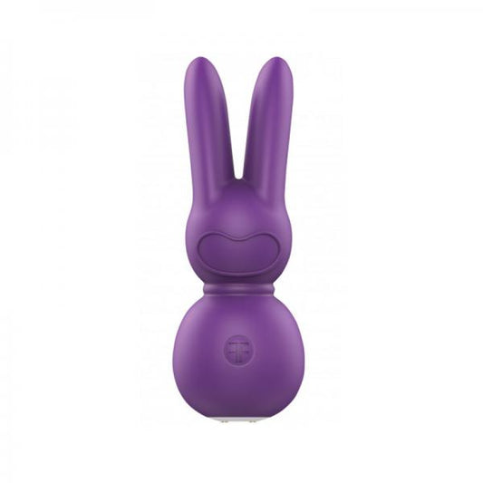 Femmefunn Funn Buddies Stubby 2 Massager Purple