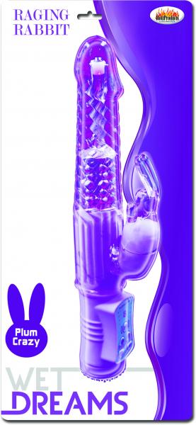 Wet Dreams Raging Rabbit Purple Vibrator