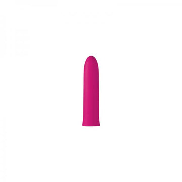 Lush Violet Pink Vibrator