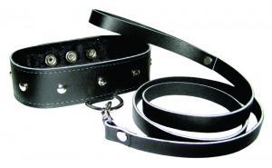 Leather Leash & Collar Set